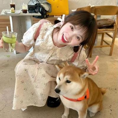 拳影人生